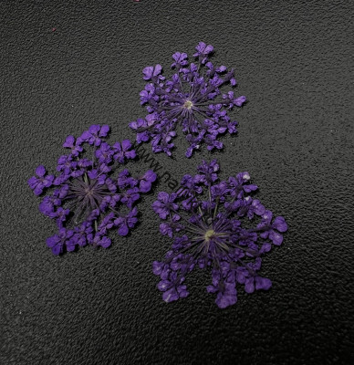 Сухоцветы "Любимые цветочки" ZOO 1683