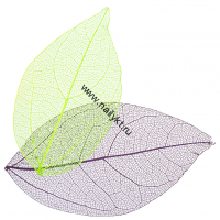 Дизайн Листик-паутинка маленький, 2шт, 004 IRISK