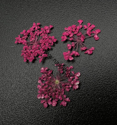 Сухоцветы "Любимые цветочки" ZOO 1682